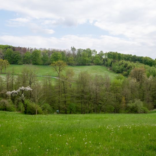 LSG-Gruenland - Heckenkomplex am Schanzenberg