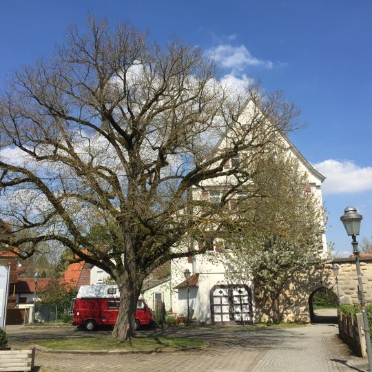 1 Linde, "Schloßlinde"