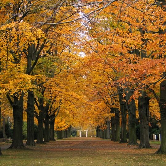 Stadtfriedhof Ricklingen