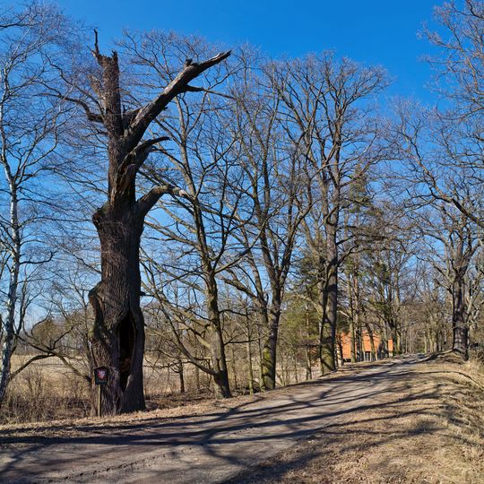 Rybníky u Vitmanova