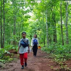 Panlaung-Pyadalin Cave Wildlife Sanctuary