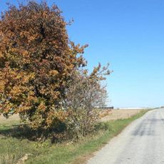 Kříž severně od Litkovic