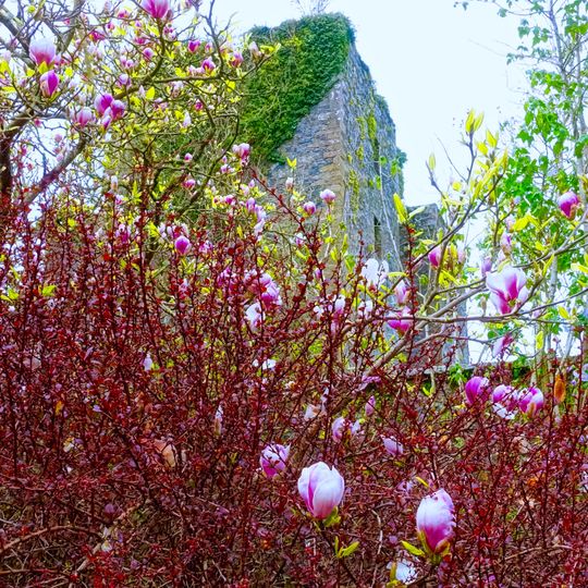 Lochinch Heritage Estate, Castle Kennedy, Walled Garden