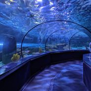 Places to visit in Myrtle Beach