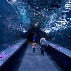Newport Aquarium