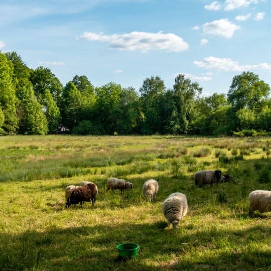 LSG Siek- und Haferbachtal