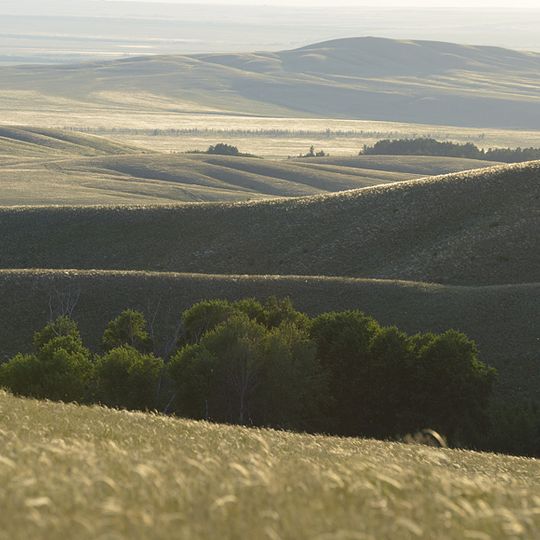 Orenburg Nature Reserve