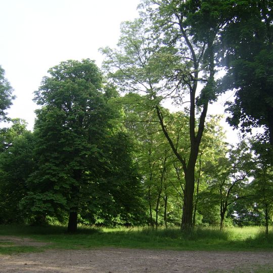 Park in Kościelec