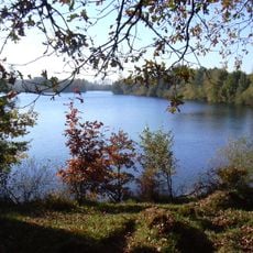 Effelder Waldsee