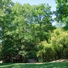 Parc du château de Bois Préau