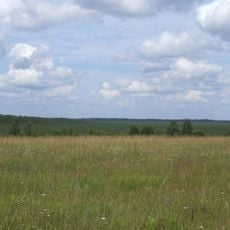 Gulbju un Platpirovas purvs