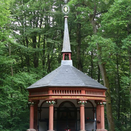 Herrenwald östlich Stadtallendorf