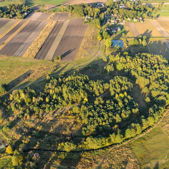 Grodzisko w Chodliku