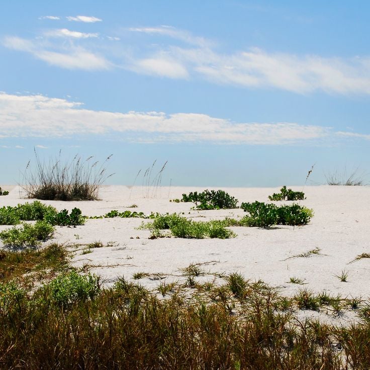 Cayo Costa Staatspark