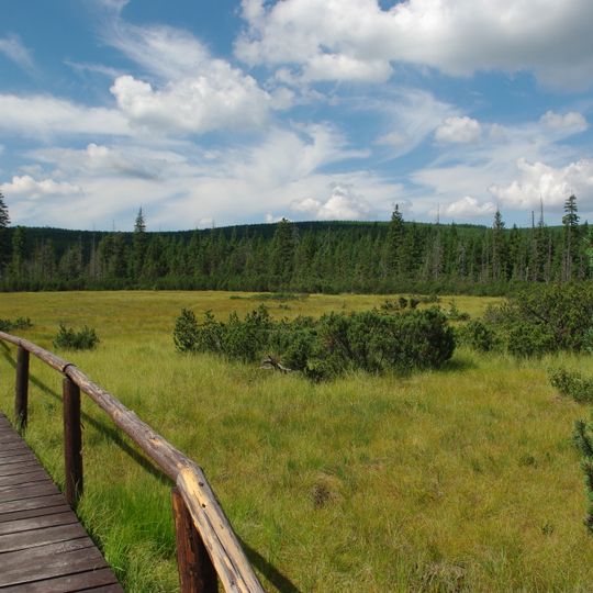 Rašeliniště Jizerky