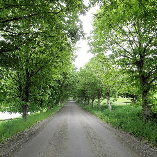 2012214 Almallé, Silvåkra