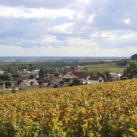 Gevrey-Chambertin