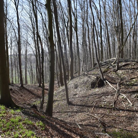 Hünenburg auf dem Hahnenberg