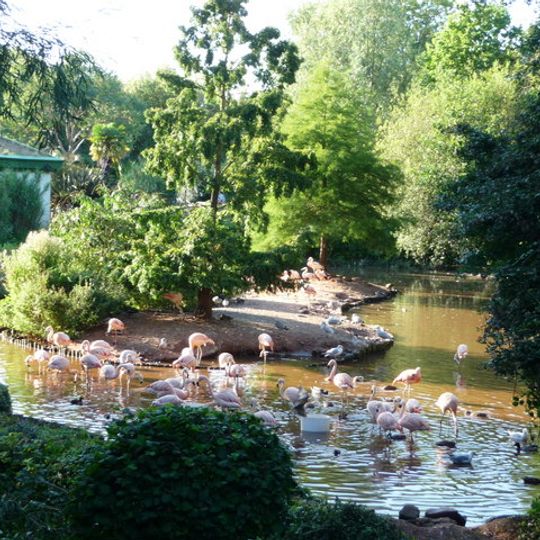 Paignton Zoo