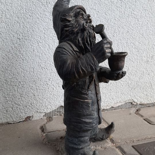 Farmaceuta Akademicki