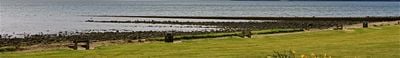 Panoramic View 0
