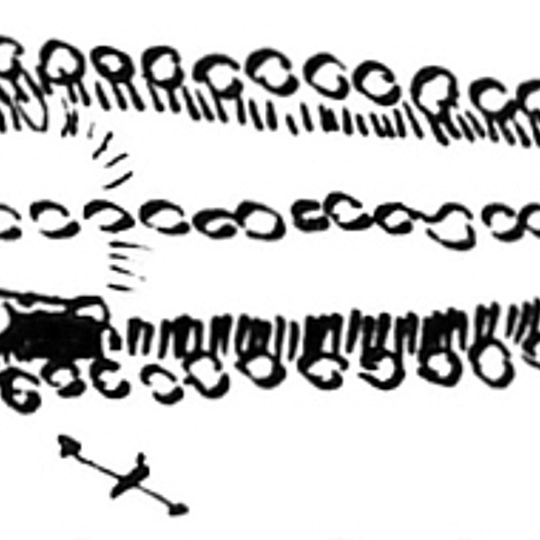 Großsteingrab Nieby