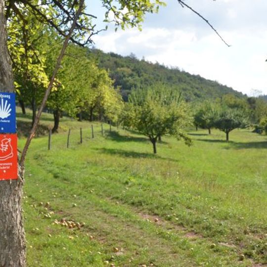 Panoramaweg Taubertal