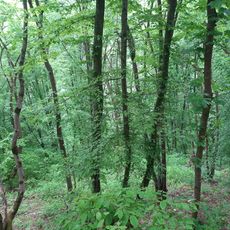 Скелі семи джерел