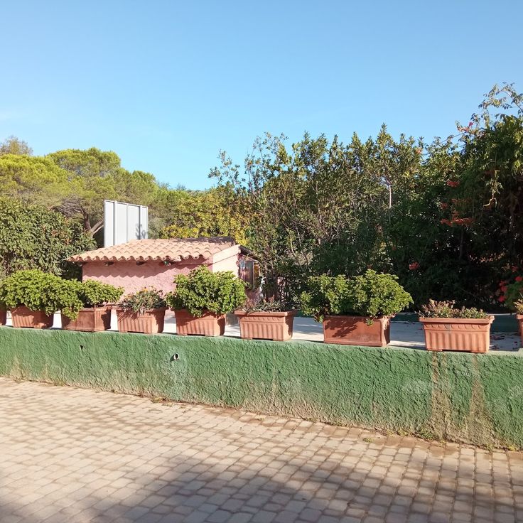 Camping Village Tavolara