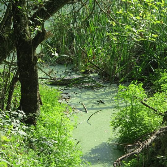 Manor Park in Wielkie Lniska