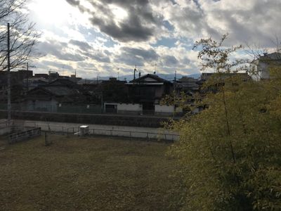 The view 4