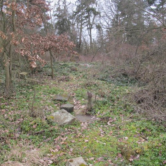 Jewish cemetery in Měcholupy