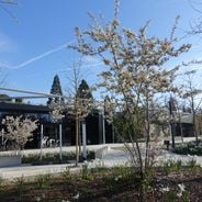 Qué hacer en París en familia: parques temáticos, museos educativos y actividades infantiles