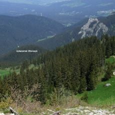 Upłaziański Wierszyk