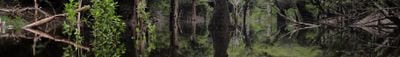 Panoramic View 0