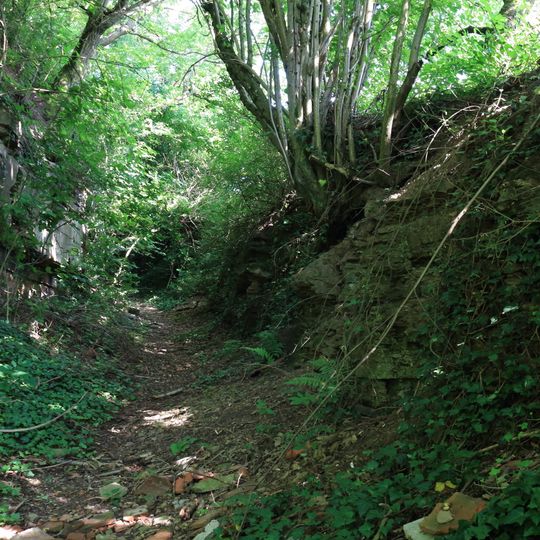 Hohlweg "Unterer Hohberg"