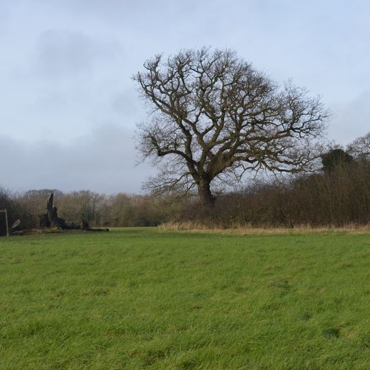 Tolworth Court Farm Fields