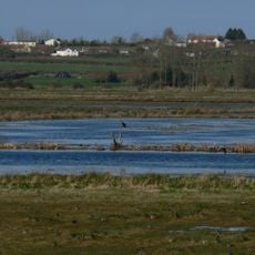 West Sedgemoor RSPB reserve