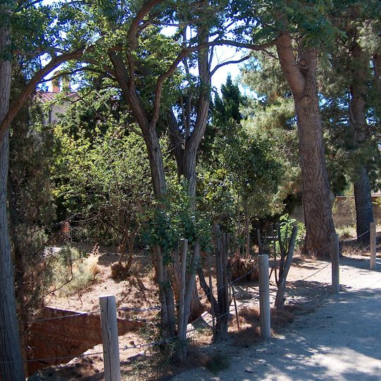 Jardin de la Miranda