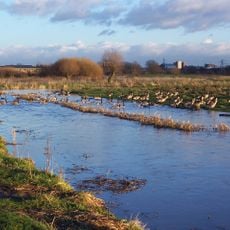 Doxey Marshes