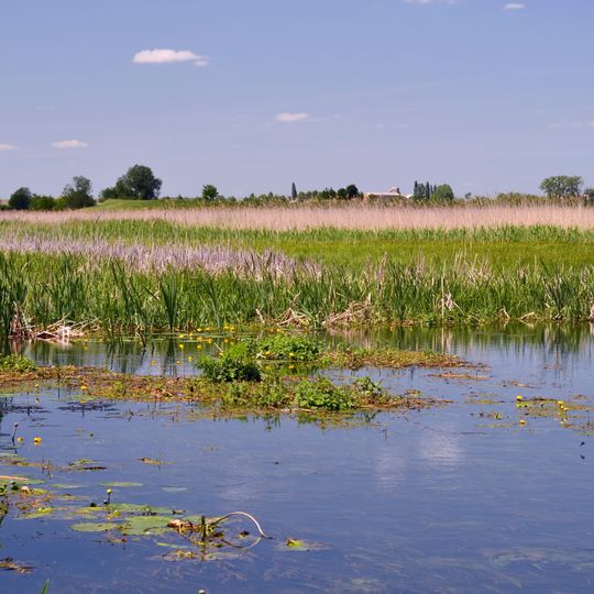 Chornohuzka nature reserve