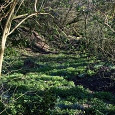 Great Canfield Castle