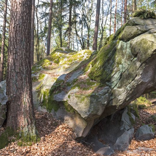 Kallmünzerfeld am Steinberg bei Rinnenbrunn