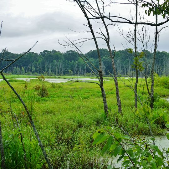 Pee Dee National Wildlife Refuge