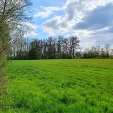 Kämmereiforst und Leineaue