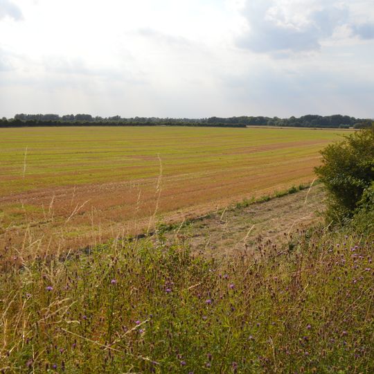 Whittlesford - Thriplow Hummocky Fields