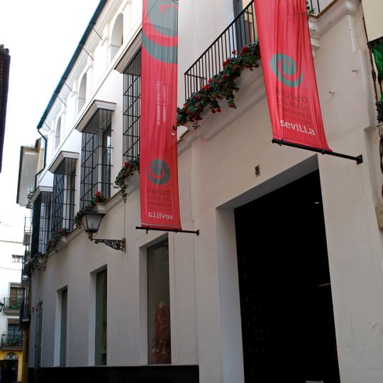 Museo del ballo flamenco