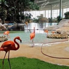 SeaWorld Abu Dhabi