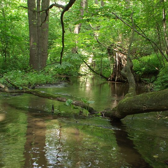 Nature reserve Struga Dobieszkowska