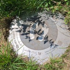 Wasser.Blick 18 Kopfweiden in Waldniel